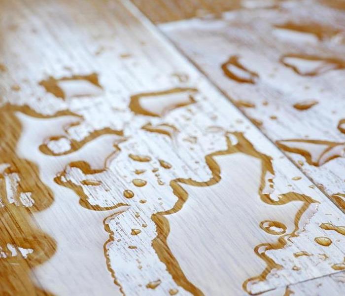 Water spots on wood flooring. 