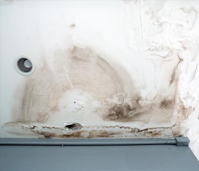 Ceiling panels with fungus outside house from water pipes damaged or rainy leaked